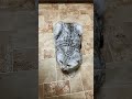 Противосядь смех джейсонстэйтем юмор ржака Cat видосыоткота веселыекоты кот прикольныекоты Противосядь смех джейсонстэйтем юмор ржака Cat видосыоткота веселыекоты кот прикольныекоты