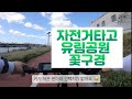 자전거 입문 퀄리Q 미니 타고 유림공원 꽃구경