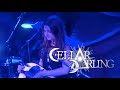 CELLAR DARLING -This is the Sound-  HD SOUND Live @ Zeche Bochum  24.10.2017