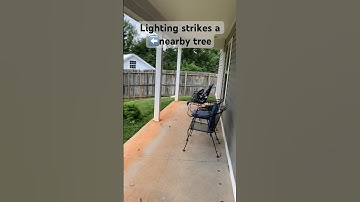 Lighting striking a tree #thunderstorm #weathertoday #shorts