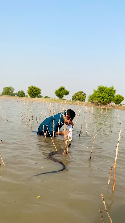 Pani wala Nag pkra