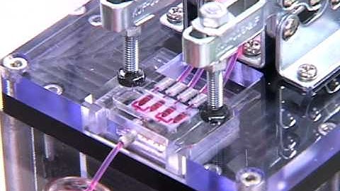 4-2-2_SAW_최종.mp4