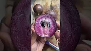 Star Apple Today Is My First Day Trying This Exotic Fruit Here In Jamaica