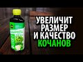 Удобрение СПЕЛЁНЫШ рассада Капуста 250мл с фульвокислотами и пептидами 🌿🌿🌿 Увеличит размер кочанов