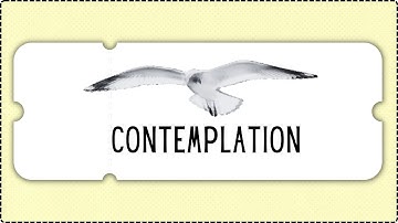 Contemplation (Episode #3 of An Archipelago of Information Science)