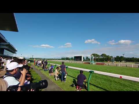 20220828新潟11R新潟2歳ステークス ファンファーレからゴールシーンまで