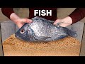 10 000 Maggots VS Fish | How Quickly The MAGGOTS Eat a Fish?