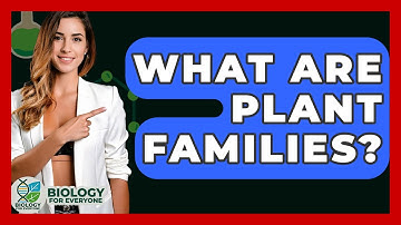What Are Plant Families? - Biology For Everyone