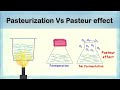 Pasteurization vs Pasteur effect