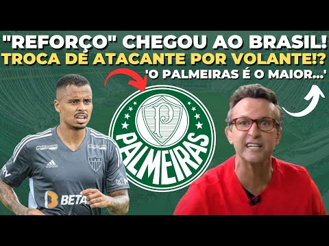 NETO NÃO POUPOU PALAVRAS SOBRE O PALMEIRAS! É O MELHOR TIME DO BRASIL!