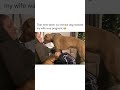 Dog finds out woman is pregnant, stands at her face and looks at her stomach