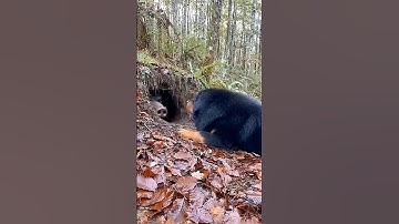 Did NOT See That Coming!