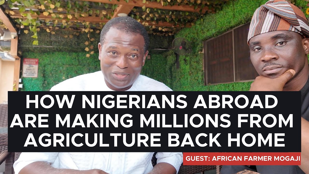 Как нигерийцы за рубежом зарабатывают МИЛЛИОНЫ на сельском хозяйстве у себя на родине
