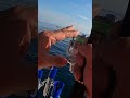 小型シイラ ・10秒ノット改で釣る！#anglerghost #fishing#Shorts動画
