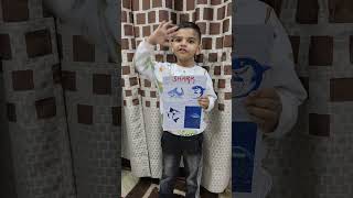 Shark Water Animal - Show And Tell Activity Miransh Chopra