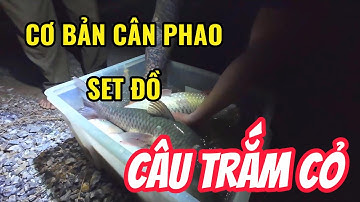 TRẮM CỎ CUỐI MÙA , SET ĐỒ , CÂN PHAO ĐƠN GIẢN KHI CÂU TRẮM CỎ - PHÚC HÀ FISHING #cauca #fishing