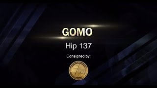 Gomo: November Sale Featurette (2016)