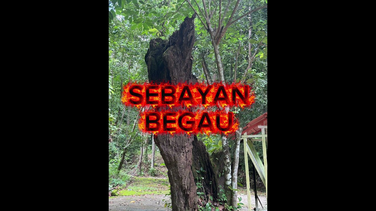 LARI KE INDU ANTU KOKLIRRR , ENSERA IBAN, JERITA ANTU IBAN 