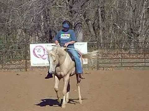 E-Quantum Horsemanship Wendy & Diamond Fun Day.wmv