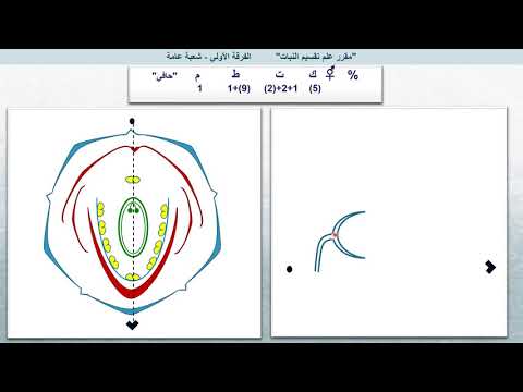 مراجعة عملى على العائلة الفولية العائلة الكرفسية الخيمية العائلة الخردلية الصليبية