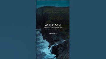 القارى عبدالرحمن مسعد|| تلاوة جميلةللقرآن 🖤#راحة_نفسية #قران_كريم #اسلام #عبدالرحمن_مسعد #يوتيوب