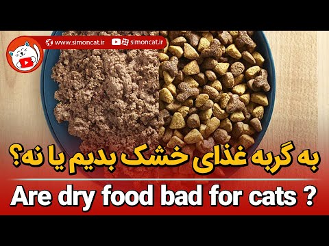 تصویری: چرا گربه از غذای خشک خودداری می کند؟