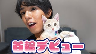 保護猫に首輪をつけて正式に我が家にお迎えしました！！