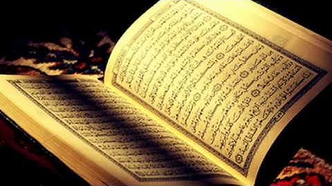 تلاوات هادئة للقرآن الكريم  تنسيك هموم الدنيا