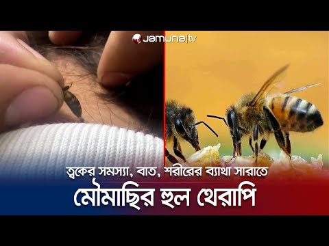 ভিডিও: একটি মৌমাছির হুল কি ব্যাথা করে?