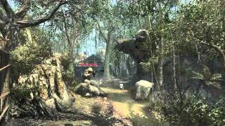 tian2412 - Black Ops Game Clip