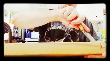 JUSTIN BIEBER CHANGES DELUXE JAPAN UNBOXING