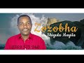 Zozobha Shilugula Mayila Official Audio 