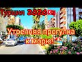 🇹🇷Утренняя прогулка к морю!🏖Часть 1-я.#Турция.Аланья#