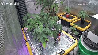 Solo start to finish time lapse 