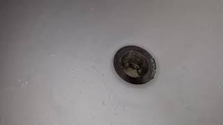 When Toilet Is Flushed Allows Sewage To Release