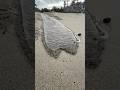 This whole video is Super satisfying! Creek Break! #CreekChronicles #SoLagLocal