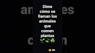 ¿Cómo se llaman los animales que comen plantas?