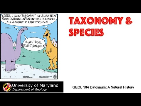 Lecture 10 Taxonomy & Species