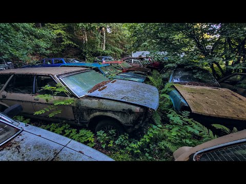 Rare Collection of Classic Cars Sadly Abandoned in the Woods w/Story @TheDarkPirateStories