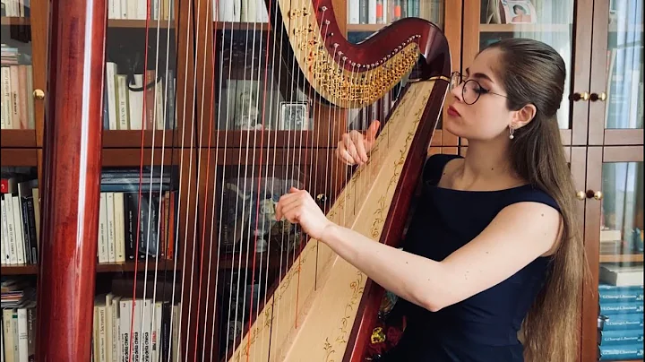D. Scarlatti - Sonata in F minor, K466 (Teresa Vio...