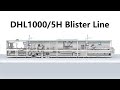 Hoping Machinery New Arrival DHL10005H Ultra Fast Blister Line Capacity 1000 blisters per min