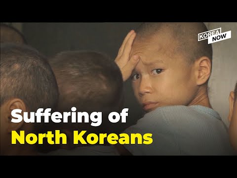 Why has humanitarian aid to North Korea collapsed to almost nothing under Kim Jong-un?