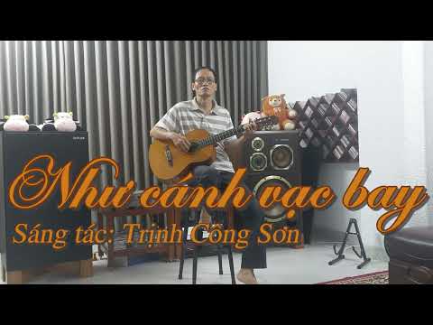 Video Như cánh vạc bay - Guitar cover - Sáng tác Trịnh Công... - youtube