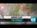 Caught on camera: Woman escapes in nick of time as tree collapses in Mumbai