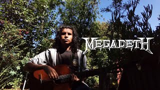 Tornado Of Souls - Megadeth  [Percussive/Acoustic Cover]