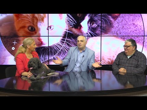 KONSULTACIA VETERINARTAN BESO LOGO 2 - კონსულტაცია ვეტერინართან