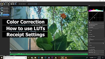 Messing Around in MLV App | Color Correction / Using LUTs / Receipt Settings