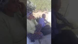 Hafız Kör Vedat