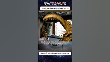 Quái vật biển khổng lồ Megalodon – Liệu nó vẫn còn sống dưới đáy đại dương?