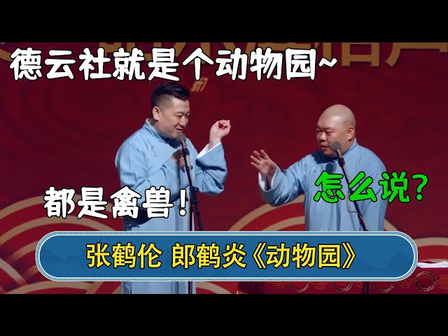 张鹤伦：德云社就是个动物园~郎鹤炎：怎么说？张鹤伦：都是禽兽！#德云社  #郭德纲 #于谦 #岳云鹏 #张鹤伦 #孟鹤堂 #郭麒麟 #張鶴倫  | 每日更新 放松助眠 class=